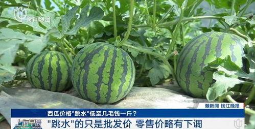 热门大瓜top10,揭秘娱乐圈风云变幻